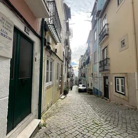 Downtown Amalia Lejlighed