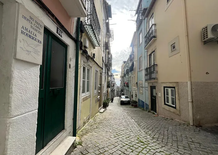 Downtown Amalia Appartamento